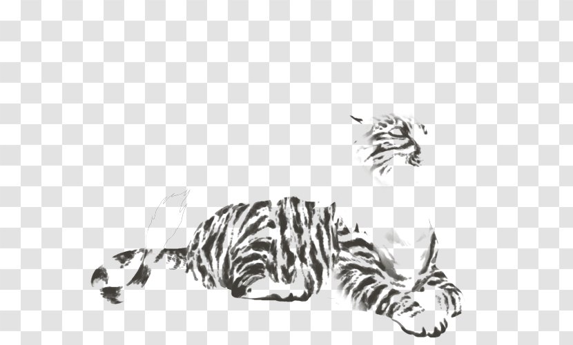 Tiger Whiskers Cat Lion Zebra - Horse Like Mammal Transparent PNG