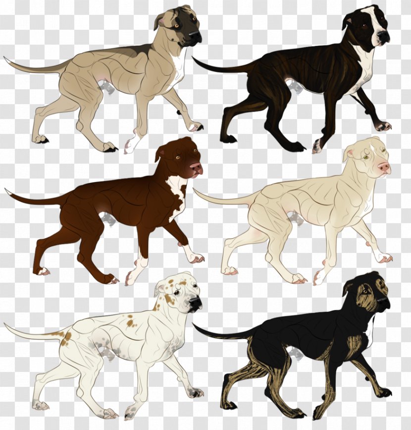 Dog Breed American Pit Bull Terrier Game - Pitbull Transparent PNG
