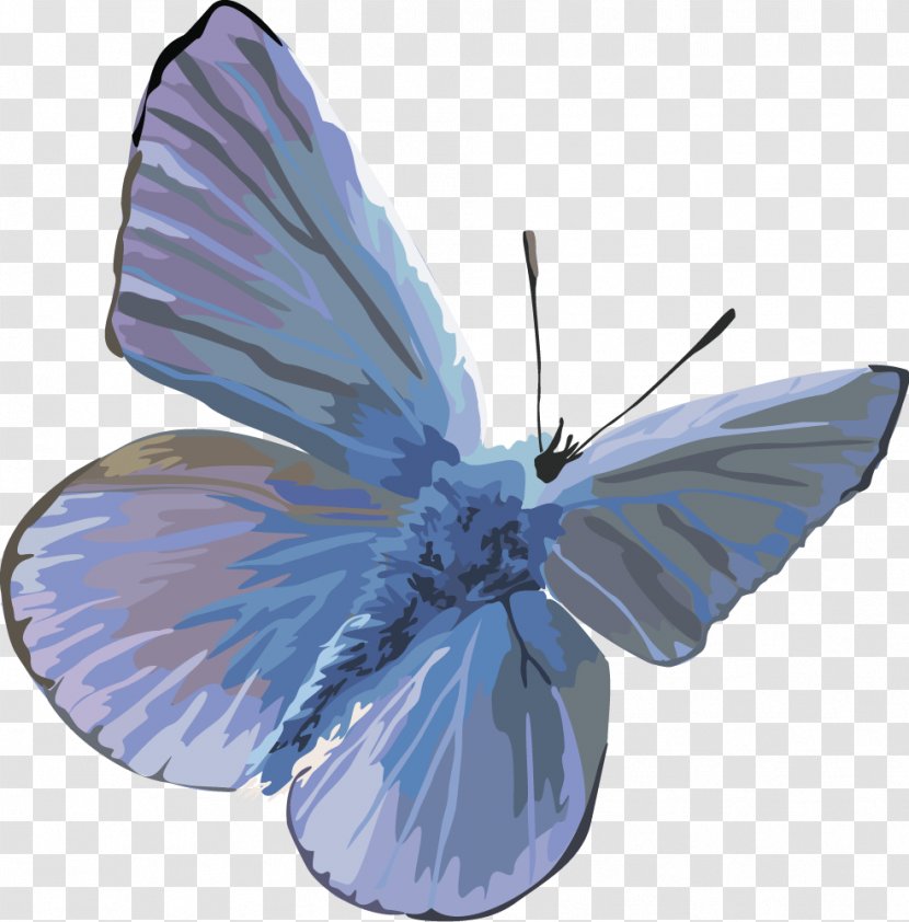 Butterfly Insect Moth Clip Art - Blue - Dragonfly Vector,insect,butterfly Transparent PNG