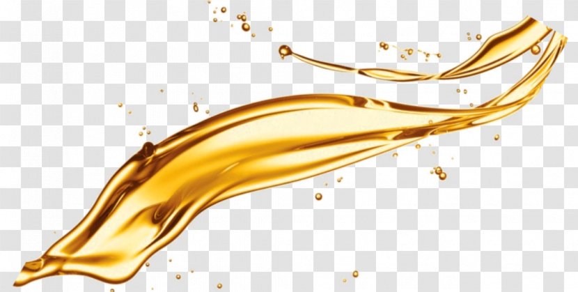 Soybean Oil Organism - Design Transparent PNG