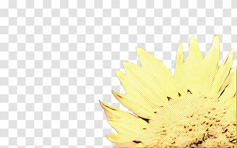 Cartoon Sunflower - Plant - Petal Transparent PNG