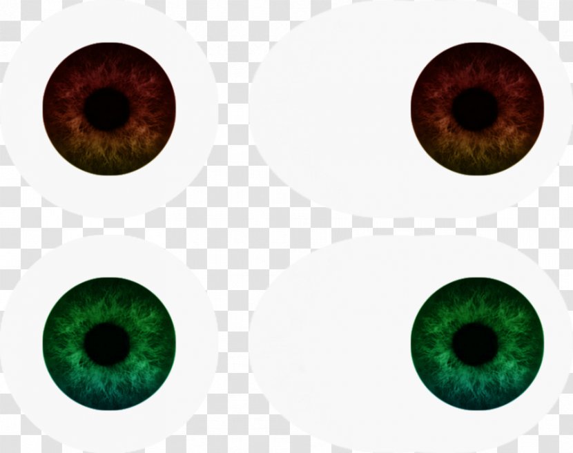 Iris Human Eye Orbit - Silhouette Transparent PNG