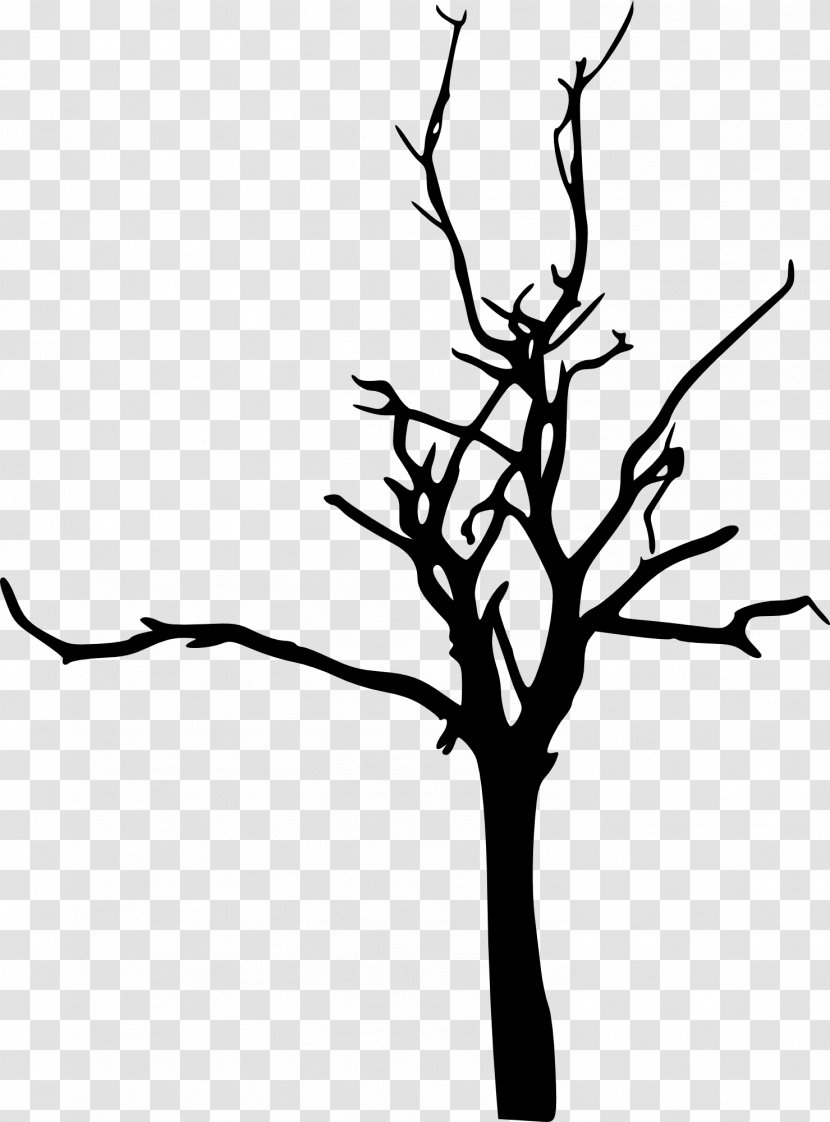 Tree Branch Silhouette Drawing Transparent PNG