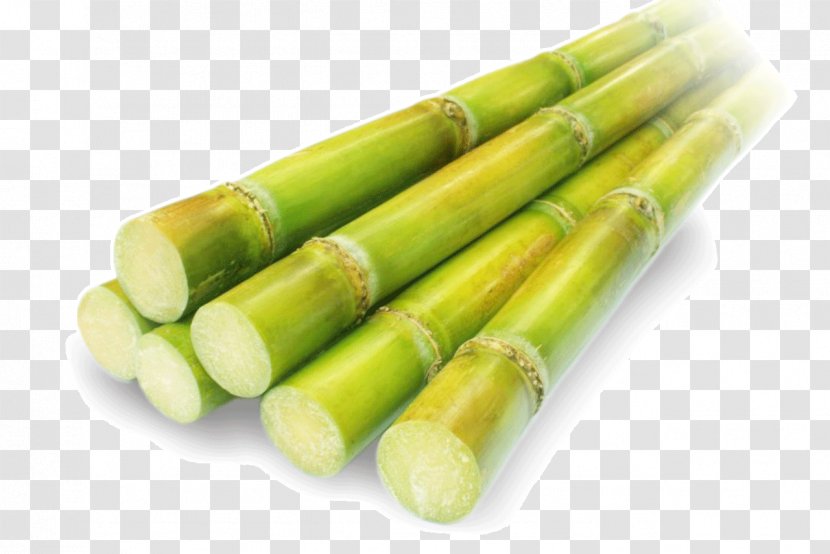 Sugarcane Juice Raw Foodism - Commodity Transparent PNG