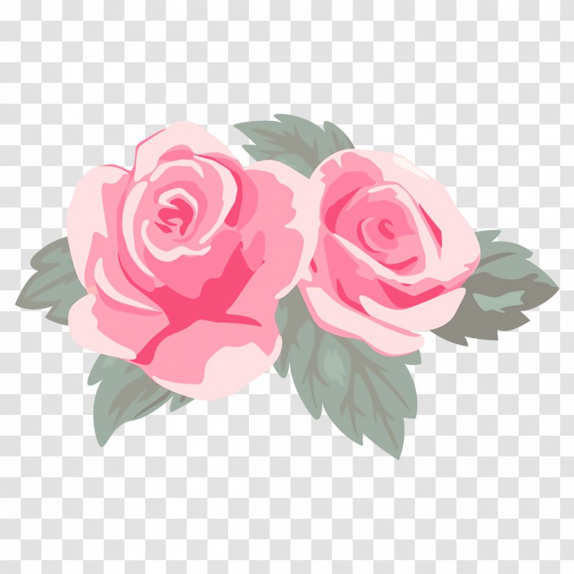 Garden Roses - Rose - Flowering Plant Petal Transparent PNG