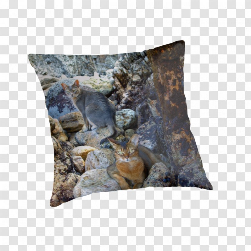 Cushion Throw Pillows - Pillow - Throwing Stones At Someone Transparent PNG