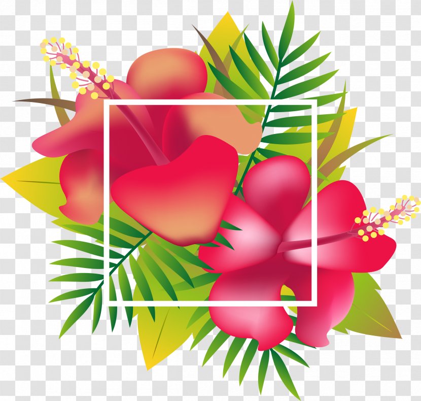 Header Floral Design Tropics - Red Tropical Flower Box Transparent PNG