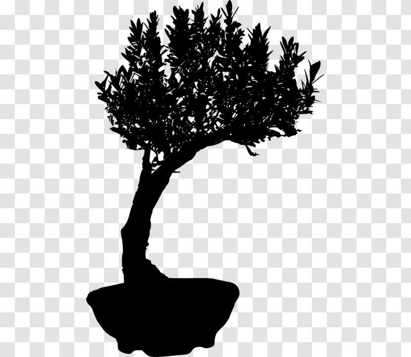 Bonsai Silhouette Chinese Sweet Plum - Tree Transparent PNG