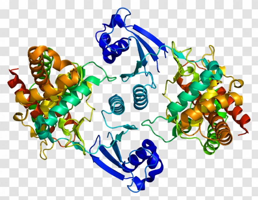 CHKA Choline Kinase Protein Wikipedia - Text - Ethanolamine Transparent PNG