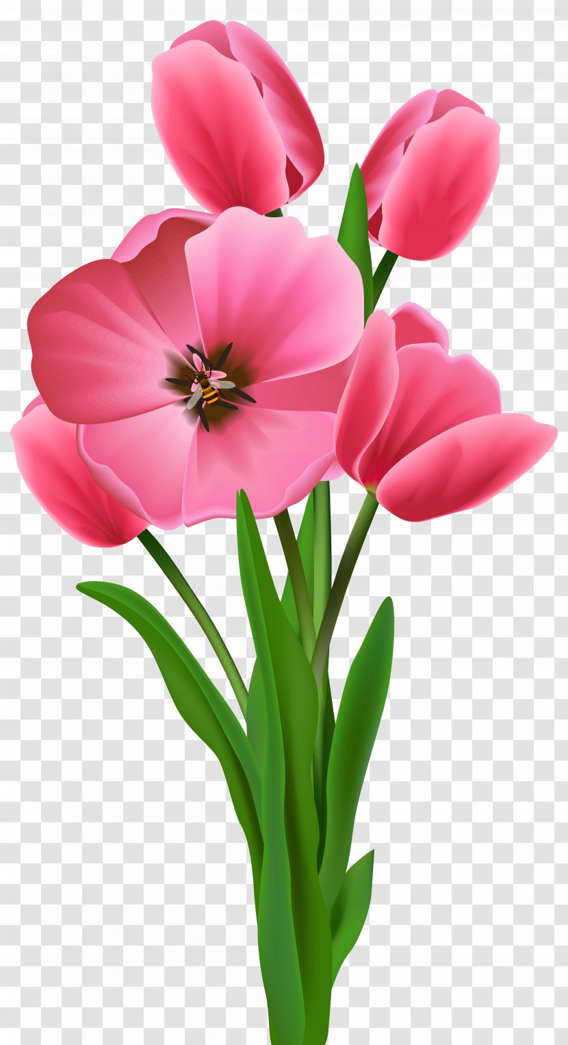 Wish Morning YouTube Good Drawing - Petal - Spring Flowers Transparent PNG