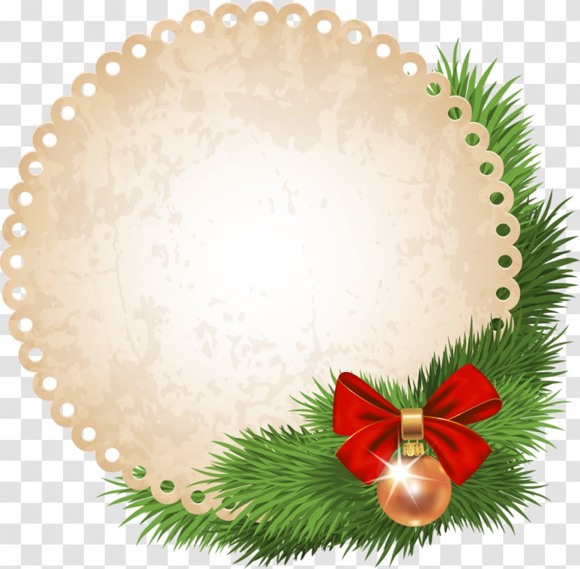 Clip Art - Fir - New Item Transparent PNG