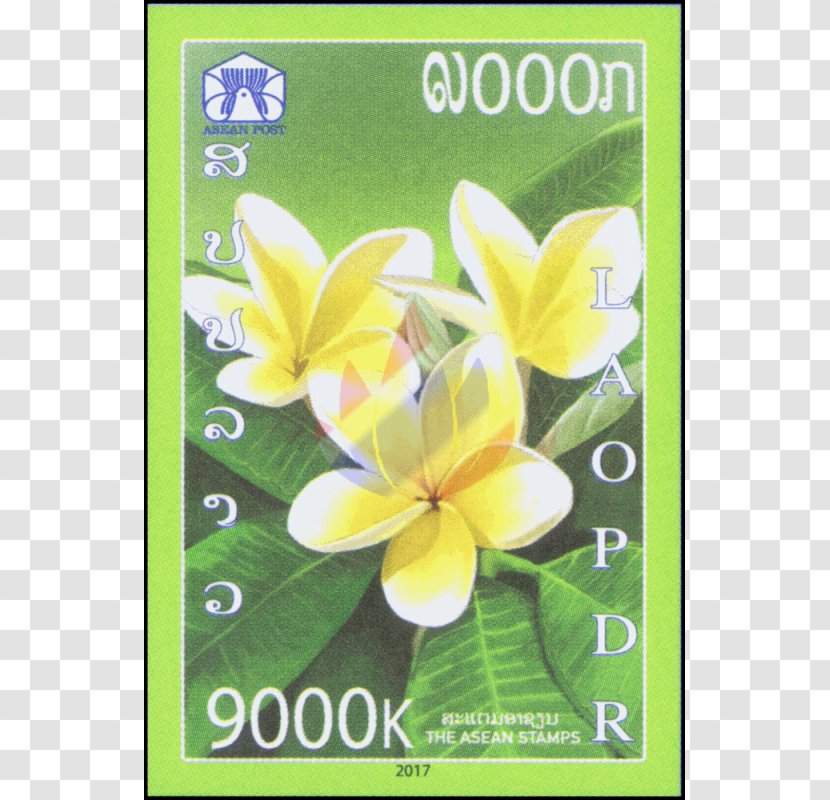 Laos Association Of Southeast Asian Nations Vietnam Plumeria Rubra Postage Stamps - Plant Transparent PNG