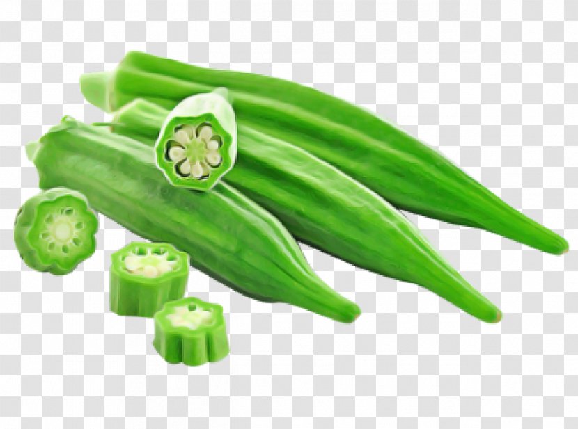 Okra Green Vegetable Plant Food - Legume Mallow Family Transparent PNG