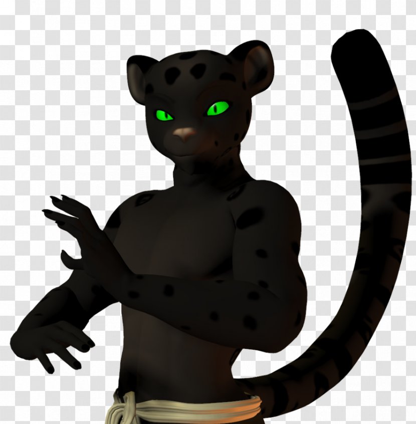 Po Tigress Jaguar Black Panther Leopard Kung Fu - Kung-fu Panda Transparent PNG