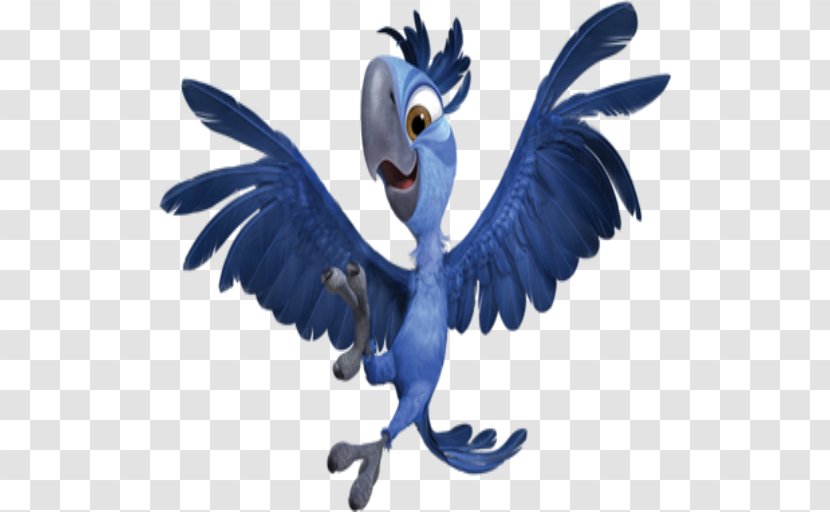 Macaw Rio Film Animation Animated Cartoon - 2 Transparent PNG