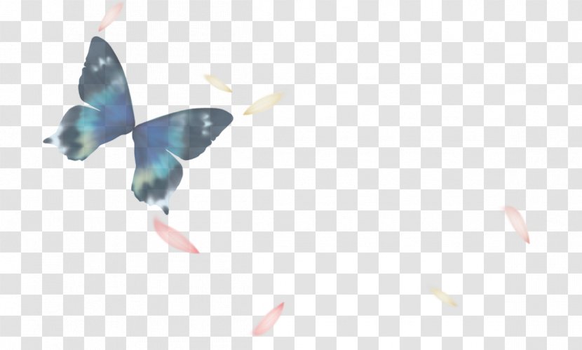 Butterfly Watercolor Painting Designer - Bird Transparent PNG