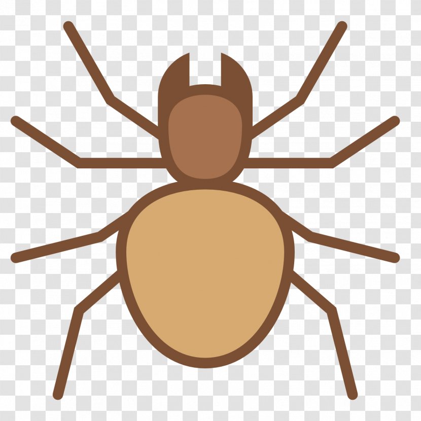 Spider Clip Art - Microsoft Office Transparent PNG