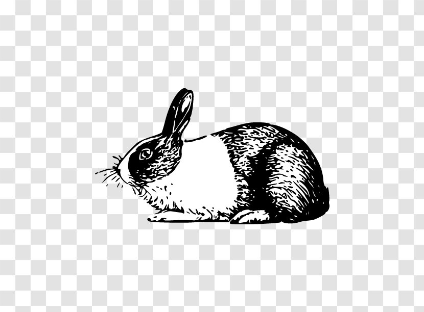 Angora Rabbit Dutch Domestic Clip Art - Black And White - Luck Spells Transparent PNG