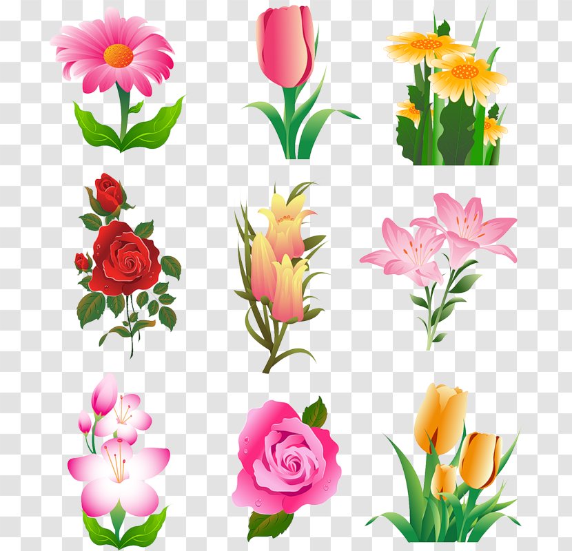 Flower Euclidean Vector Tulip Clip Art - Rose Order - Cilpart Transparent PNG