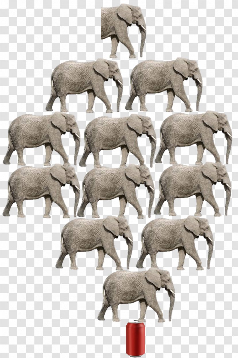 Sheep African Elephant Indian Herd Art Transparent PNG