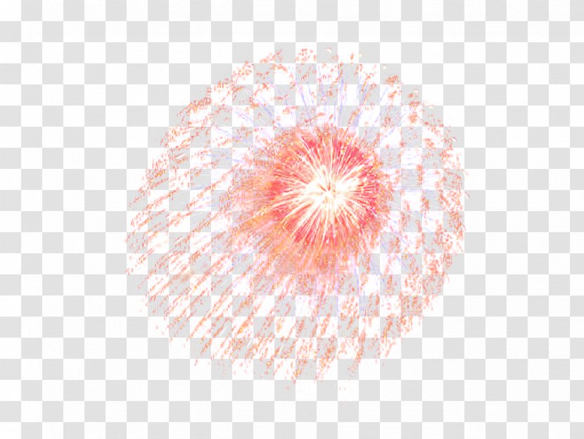 Petal Circle Close-up Pattern - New Year Fireworks Spread Transparent PNG