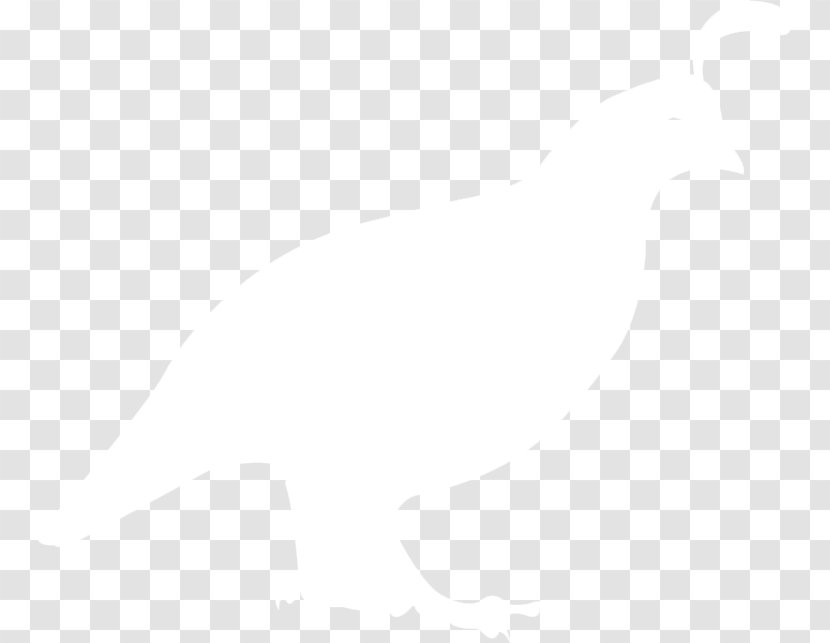 Desktop Wallpaper Stock Photography Image IStock - Birds North Texas Transparent PNG