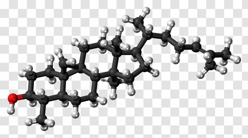 Cholesterol Allopregnanolone Neurosteroid High-density Lipoprotein - Bile - Health Transparent PNG