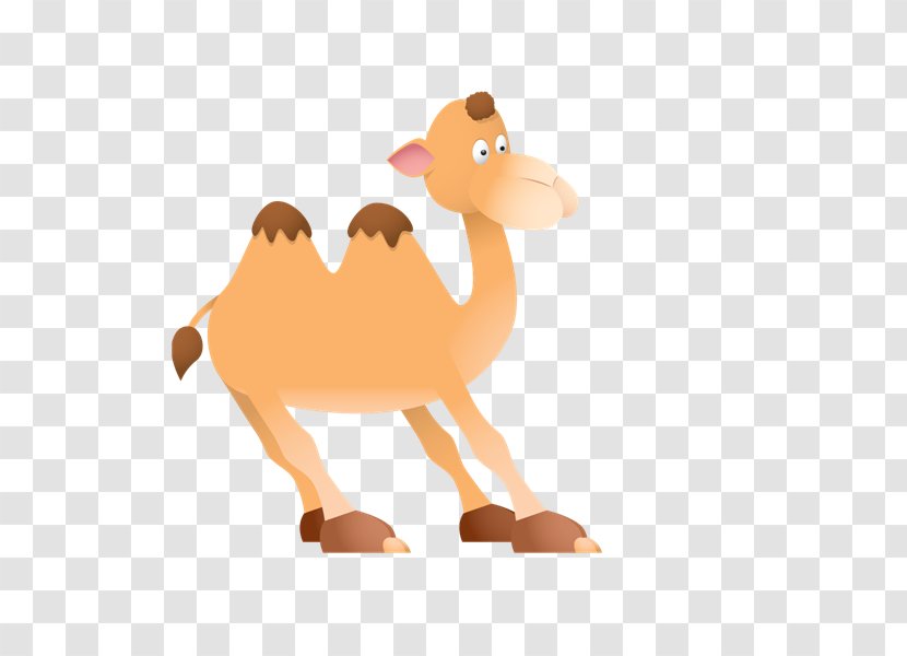 Pre-school Worksheet Education Lesson Plan Reading - Arabian Camel - Clipart Transparent PNG