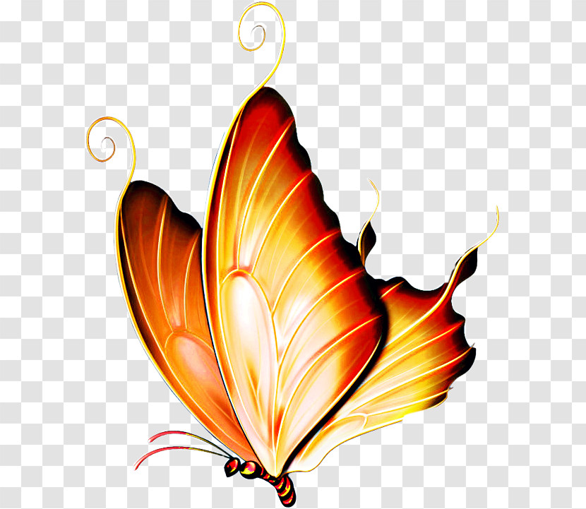 Butterfly Heart Moths And Butterflies Leaf Pollinator Transparent PNG