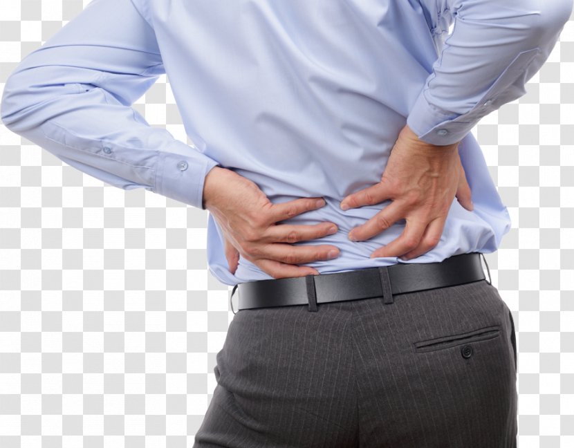 Low Back Pain Sciatica Human Physical Therapy - Flower - Health Transparent PNG