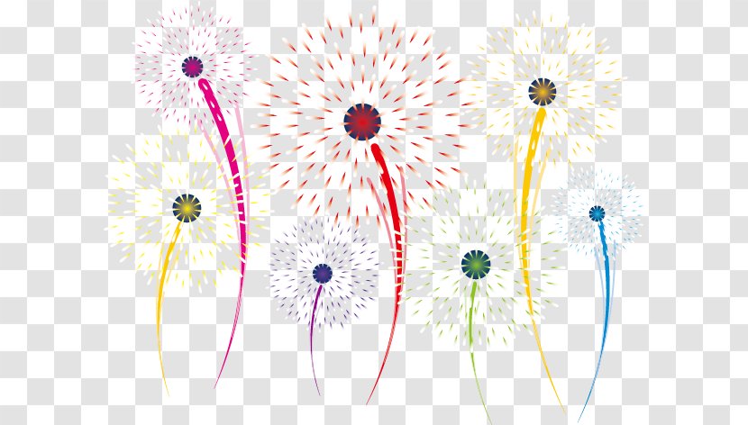 Fireworks Chinese New Year - Festival Transparent PNG