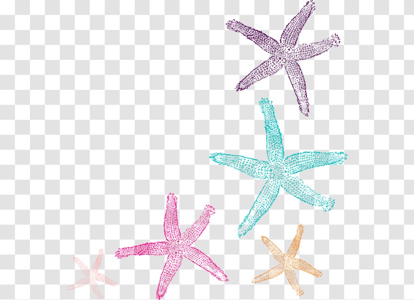 Coral Starfish Clip Art - Body Jewelry - Watercolor Star Transparent PNG