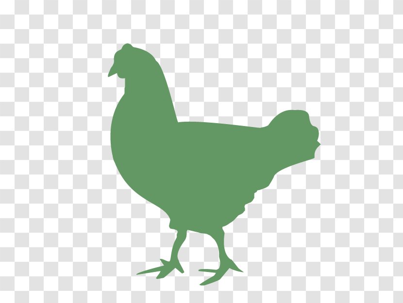 Bird Chicken Green Rooster Beak - Tail Fowl Transparent PNG