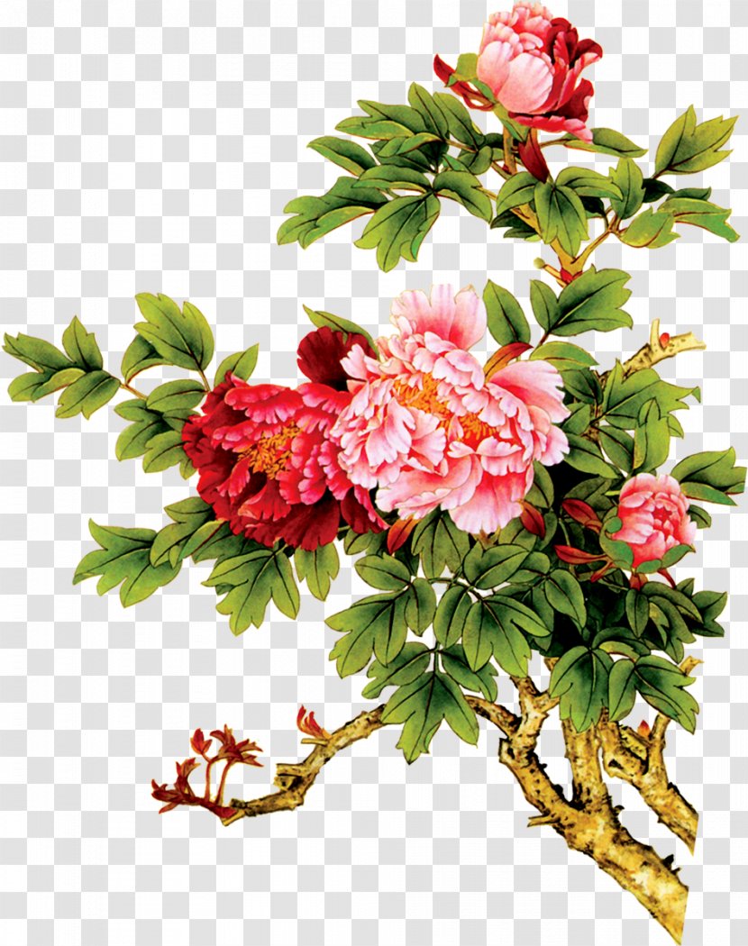 Watercolor Painting Chrysanthemum - Designer - Peony Transparent PNG