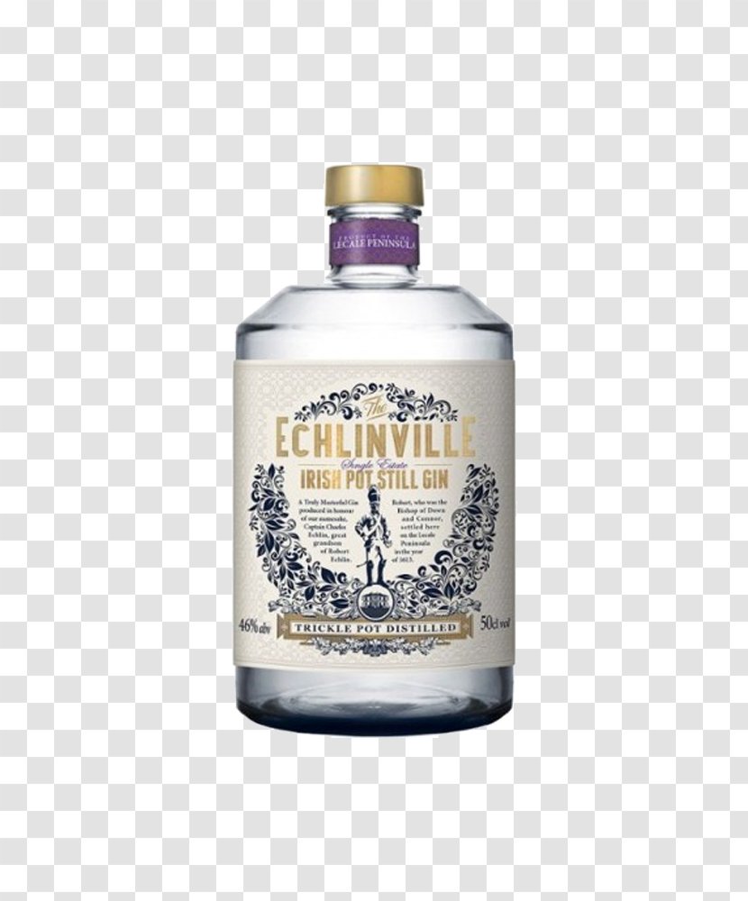 Gin Irish Whiskey Distillation The Echlinville Distillery Single Pot Still - Botanical Transparent PNG
