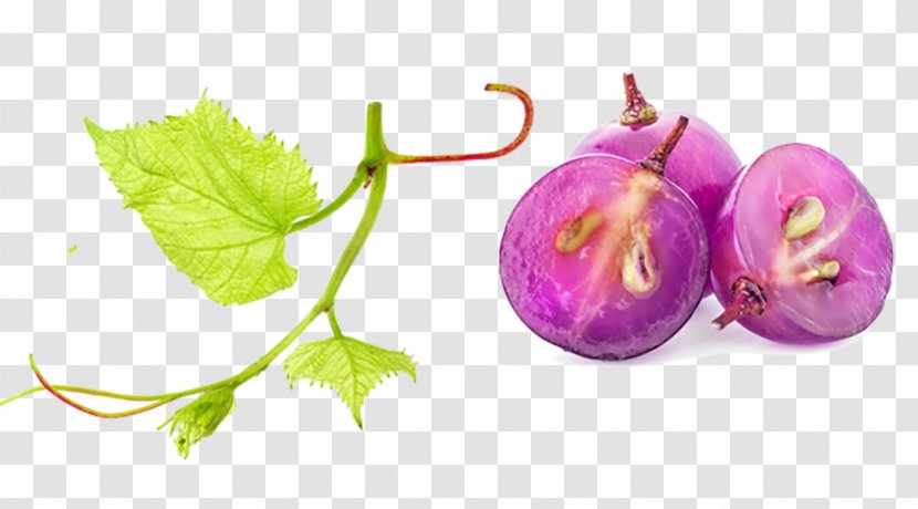 Common Grape Vine Fruit Salad Berry - Purple - Grapes Transparent PNG