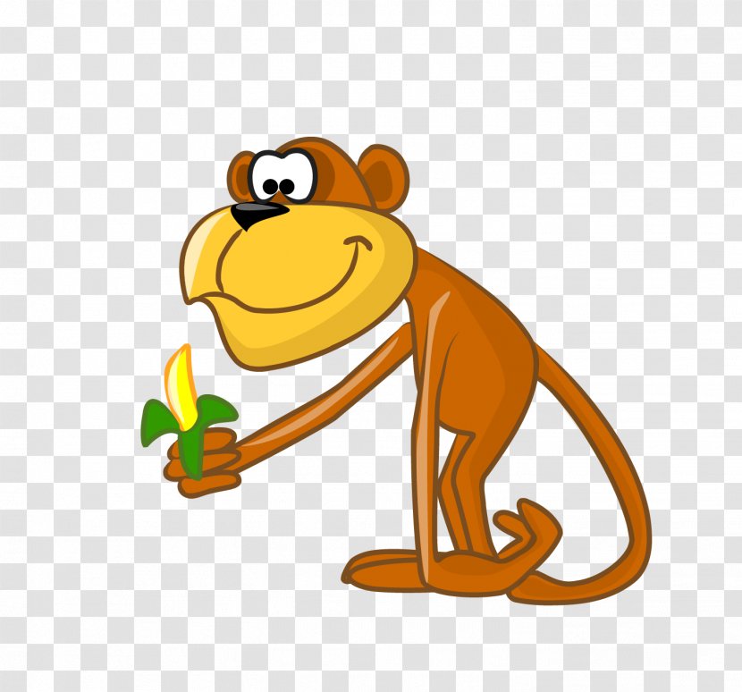Vector Graphics Educational Flash Cards Illustration Image Animal - Figure - Macaco Transparent PNG