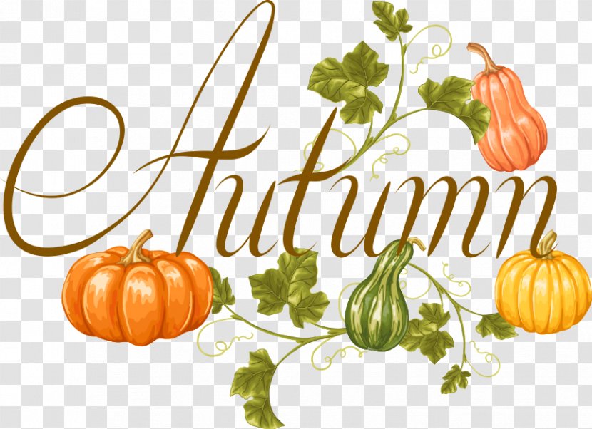 Calabaza Vegetable Pumpkin Autumn - Fruit - Vector Vegetables Transparent PNG