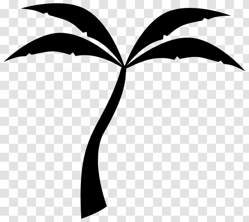 Arecaceae Silhouette Drawing Tree Clip Art - Monochrome - Palm Transparent PNG