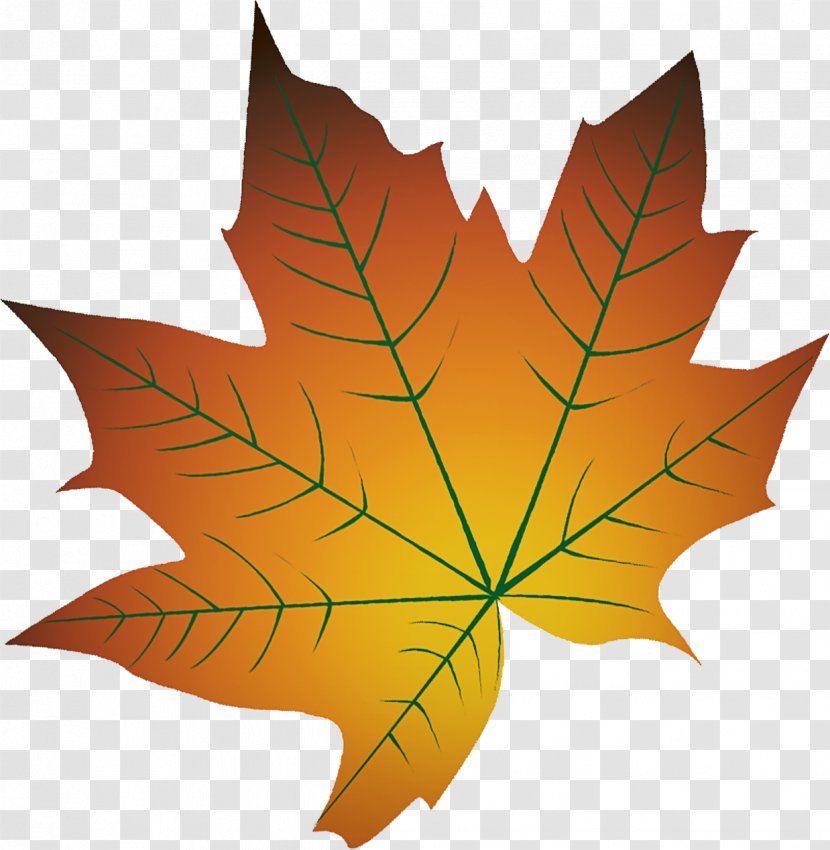 Maple Leaf - Plane - Orange Flowering Plant Transparent PNG