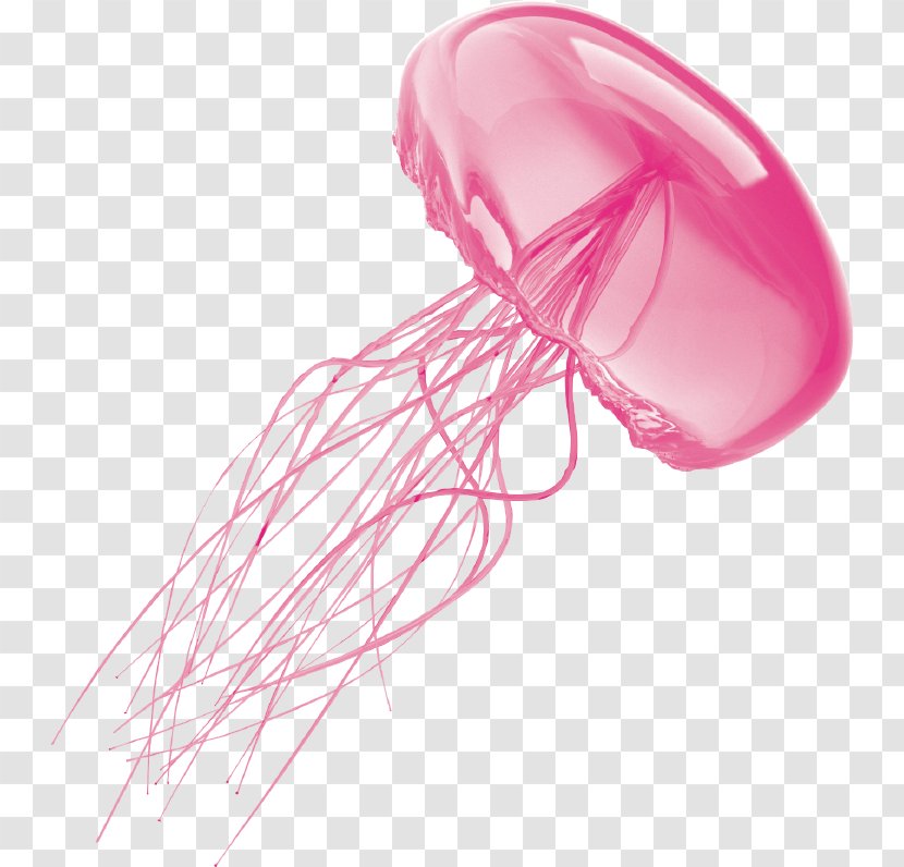 Jellyfish Clip Art - Pink Transparent PNG