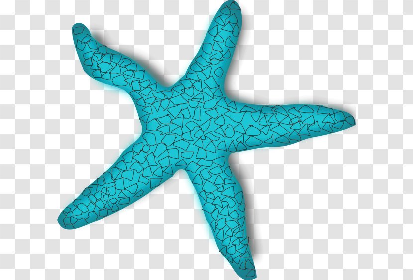 Starfish Clip Art - Color - Teal Fish Cliparts Transparent PNG