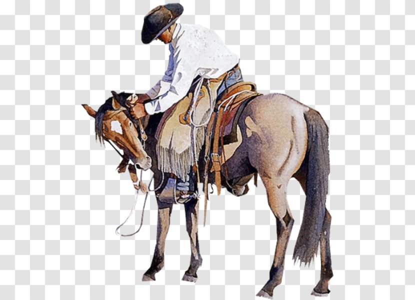 True Grit Horse Cowboy Western - Roughstock Transparent PNG
