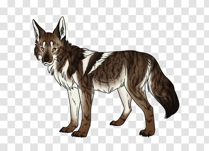 Cat Gray Wolf Coyote Red Fox Transparent PNG