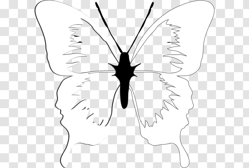 Butterfly Clip Art - Moths And Butterflies - Kite Vector Transparent PNG