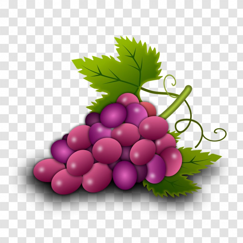 Common Grape Vine Wine Leaves Food - Grapes Transparent PNG