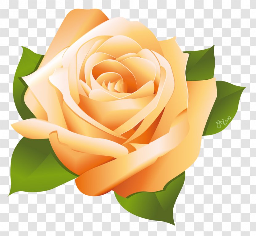 Rose Drawing Clip Art - Floral Design - Vector Transparent PNG