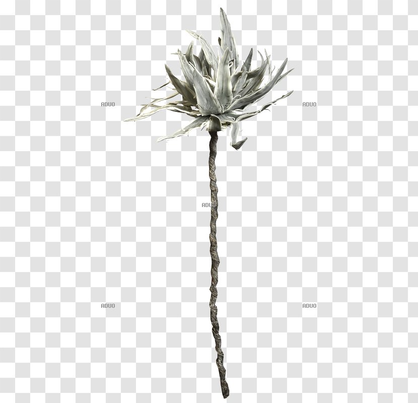 Twig Plant Stem Flowering - Flora Transparent PNG