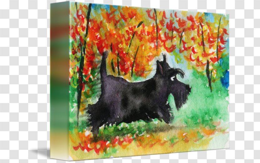 Scottish Terrier Cairn Dog Breed Painting Acrylic Paint Transparent PNG