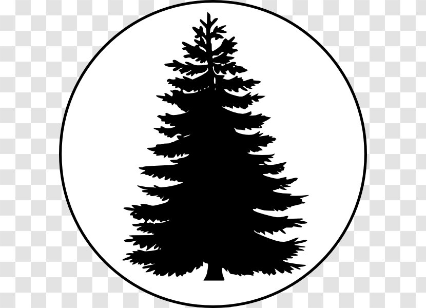 Pine Tree Conifers Clip Art - Black And White - Evergreen Outline Transparent PNG